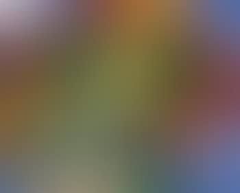 Paysage (preview)