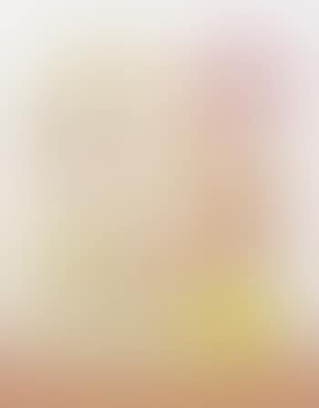 Untitled (Folding Screen) (preview)
