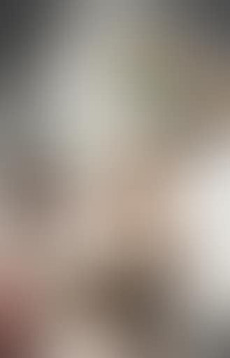 Untitled (preview)