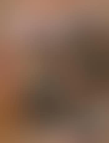 Untitled (Still Life) (preview)
