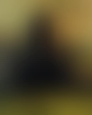 Townscape (preview)