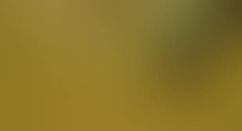 Yellow Summer (preview)