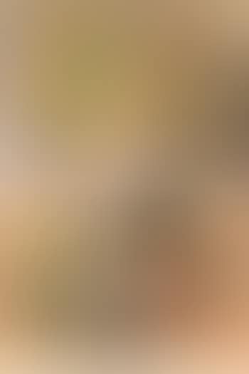Untitled (Kerala Series) (preview)