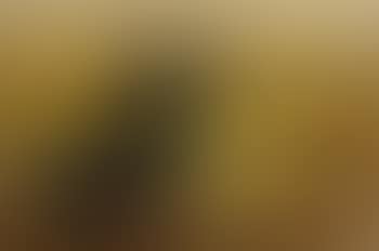 Untitled (Horses) (preview)