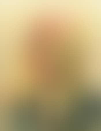 A Portrait of Joe Borkin (preview)