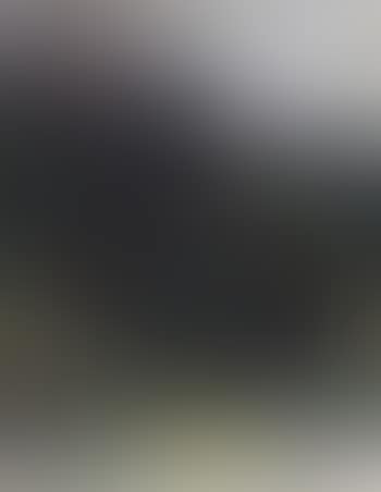 Paysage (preview)