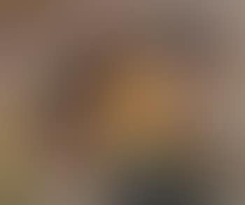 Untitled, from the Harvest series (preview)
