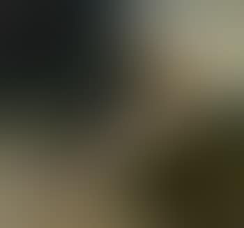 Psyche (preview)