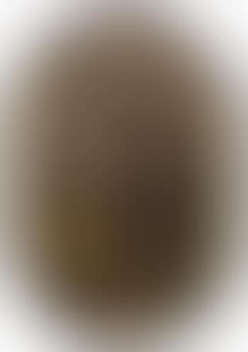 Still lives of fruit and garlands of flowers (preview)