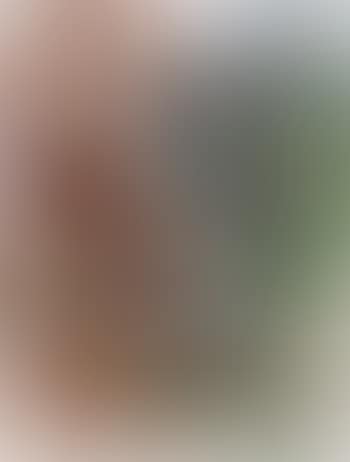 Untitled (preview)
