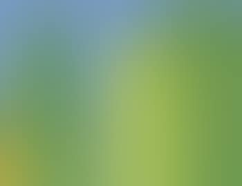 Yellow mellow (preview)