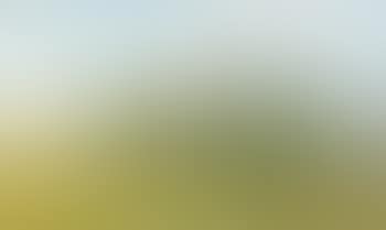 Summer landscape with farm (preview)
