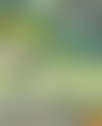 Gorgeous summer landscape (preview)