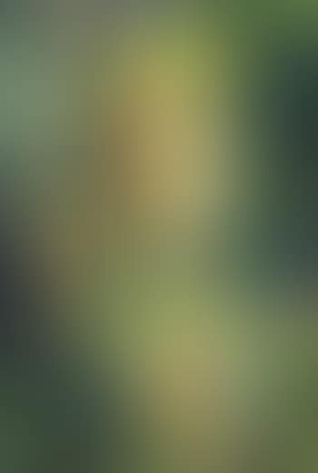 Green mask No.4 (preview)