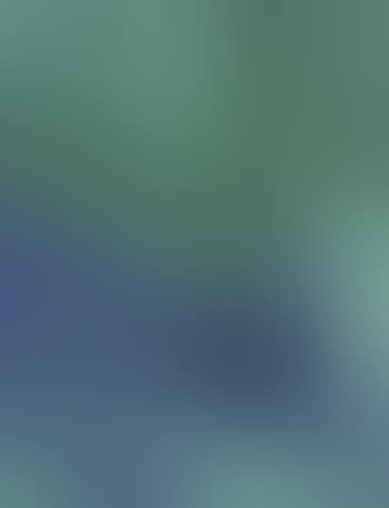 Composition (preview)