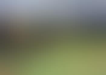 Landscape, Bornholm (preview)