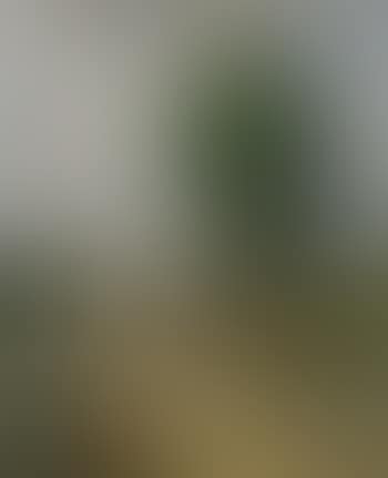 Village scene (preview)