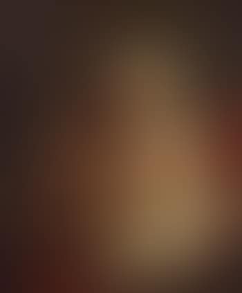 Saint Jerome (preview)