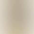 Portrait of a Husain (preview)
