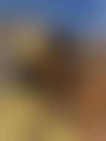 Desert flirtation (preview)
