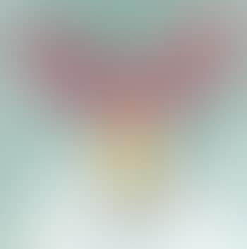 Morbid picture (preview)