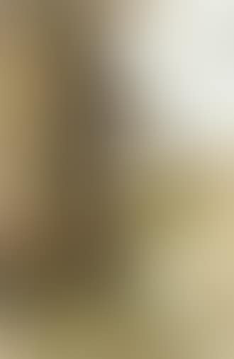 Dune landscape with lamp on a cabin (preview)