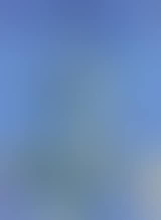 Top of a pine tree (preview)