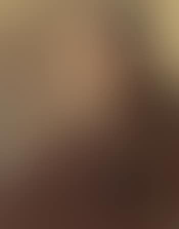 Portrait of Padre Silvestre Paoni (preview)