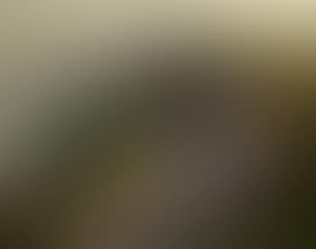 Jeunes femmes tricotant (preview)