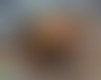 Composition (preview)