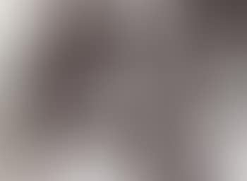 Peintre et modele (preview)