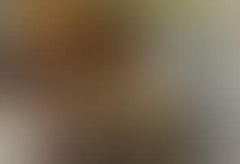 Nature morte (preview)