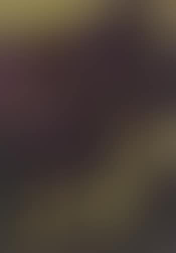 Composition (preview)