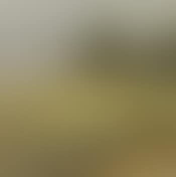 Landscape, Bornholm (preview)