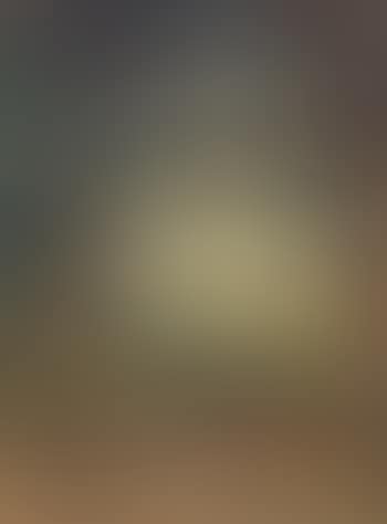 Paysage du Midi (preview)