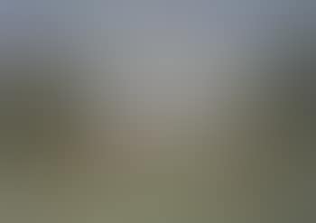Paris, parc de Saint-Cloud (preview)