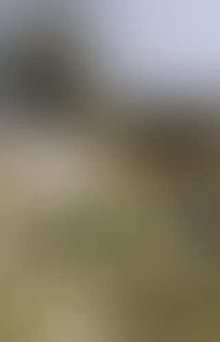 Farmyard (preview)