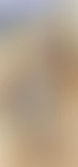 Baigneuse orientale (preview)