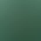 Self-portrait, green camouflage (preview)
