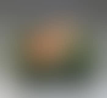 Pesche cadute (preview)