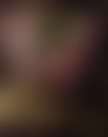 Still life, hydrangea (preview)
