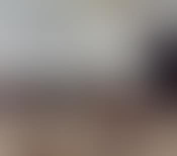 Belle Vue, Manchester (preview)