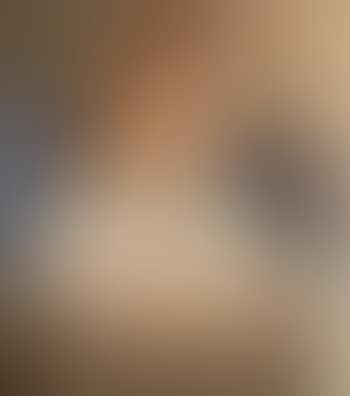 Portrait of Mrs Ira Goldstein (preview)
