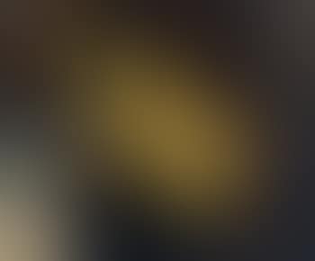 Le chat siamois (preview)
