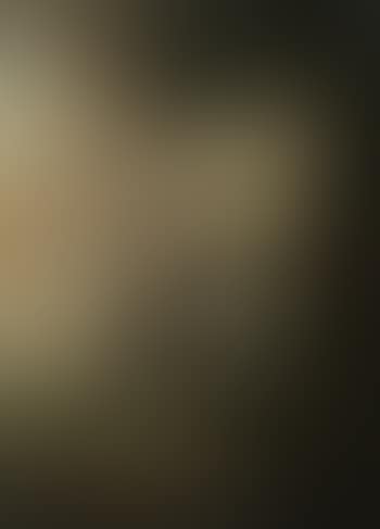 King Friedrich II from Prussia on horseback (preview)