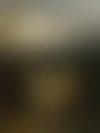 Goat in mountainous landscape (preview)