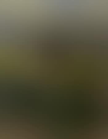 Girl with sheep in alpine meadow (preview)