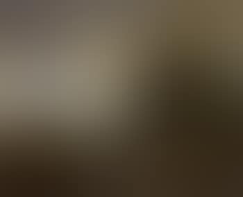 Landscape with herder and cattle (preview)