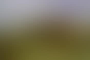 Landscape with houses (preview)