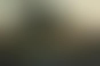 Moorland (preview)